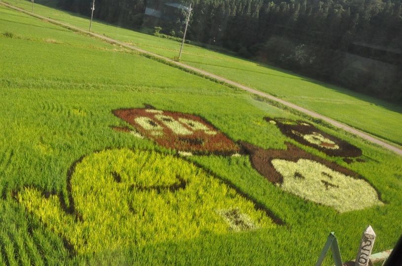 画像3