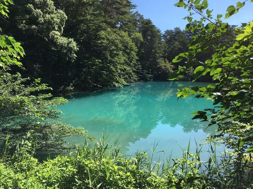 画像1