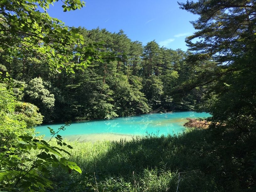 画像2