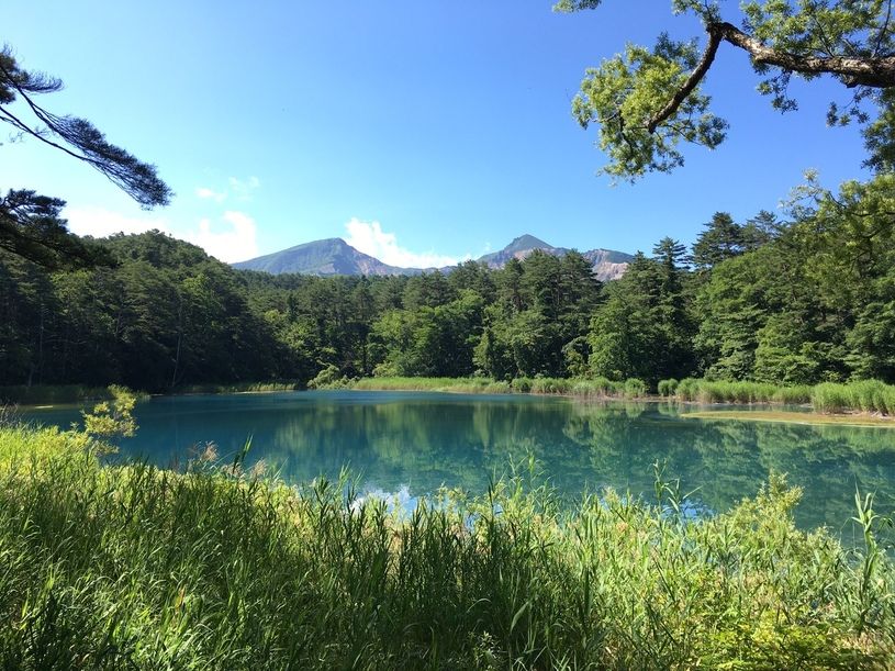 画像1