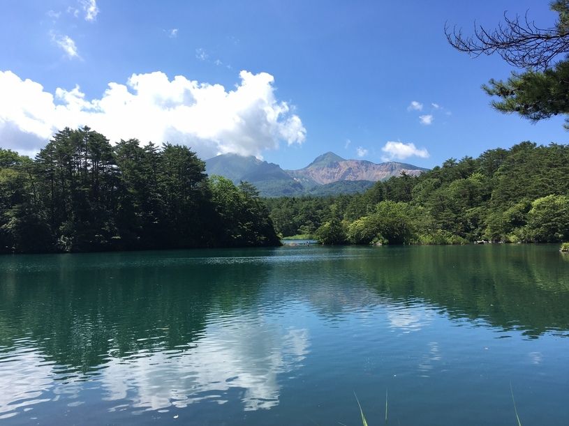 画像1