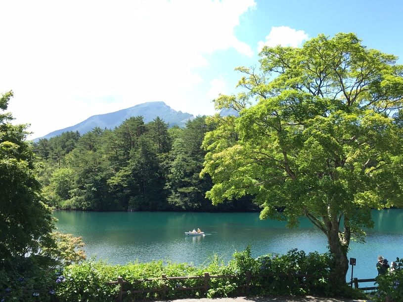 画像1