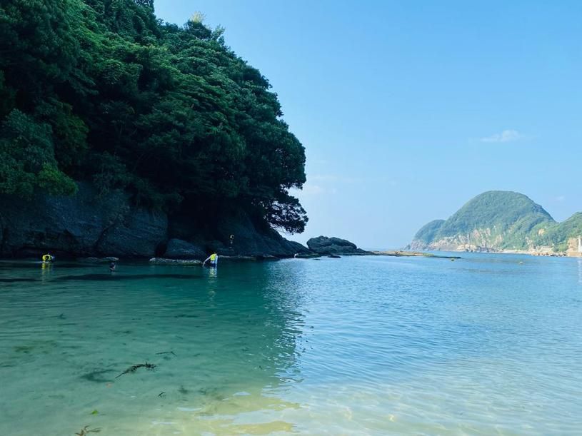 画像4