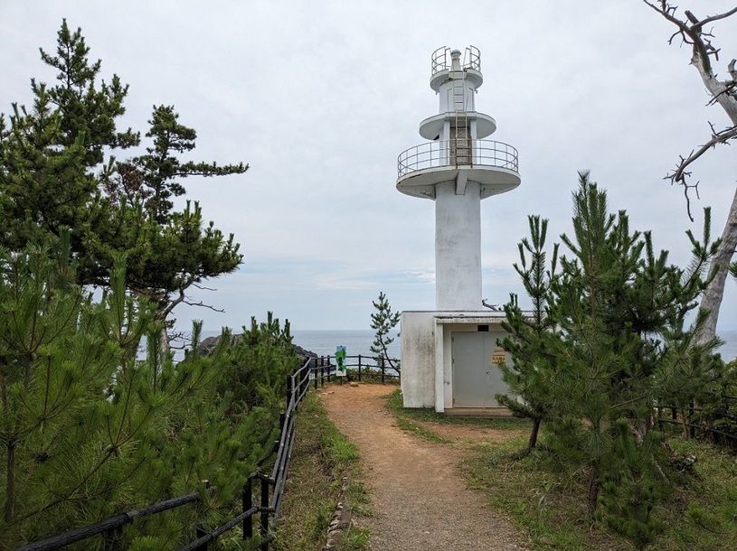 画像5