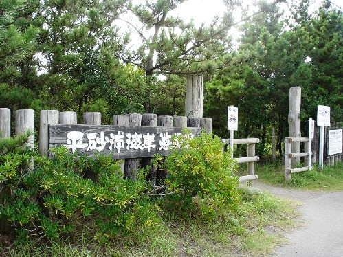 画像1