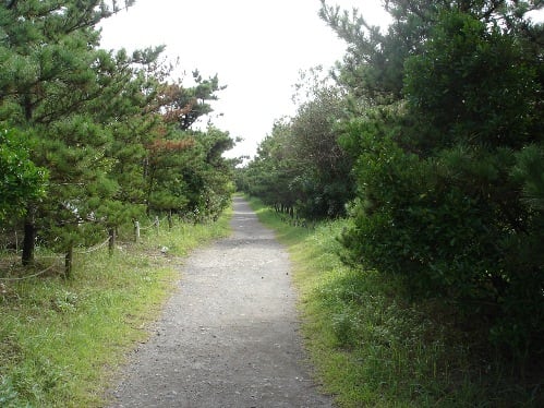 画像2