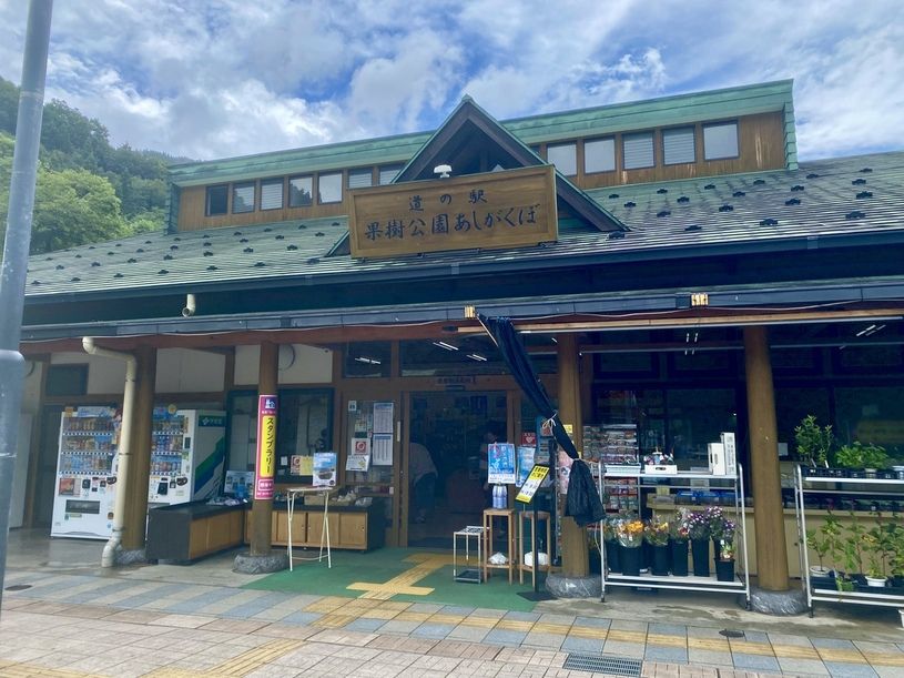 画像1