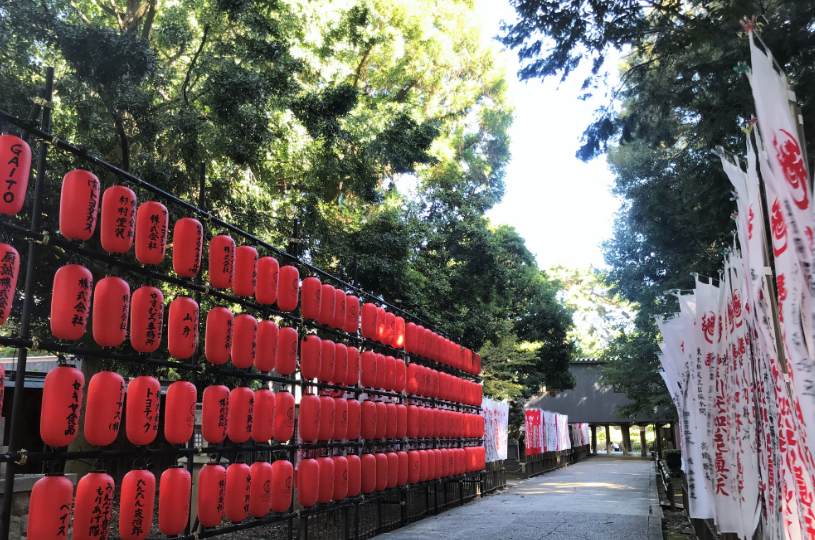 画像5