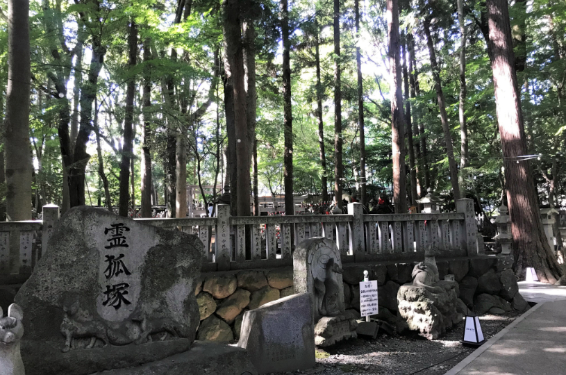 画像4