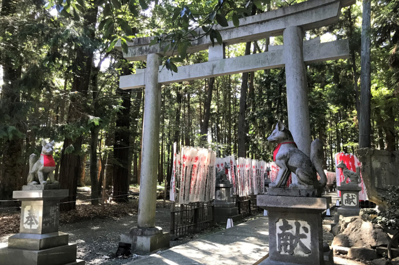 画像1
