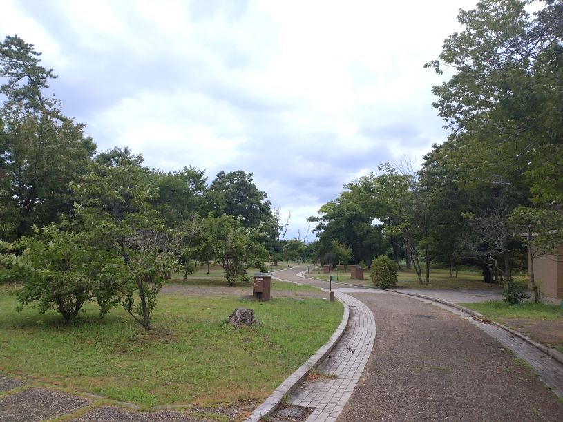 画像2