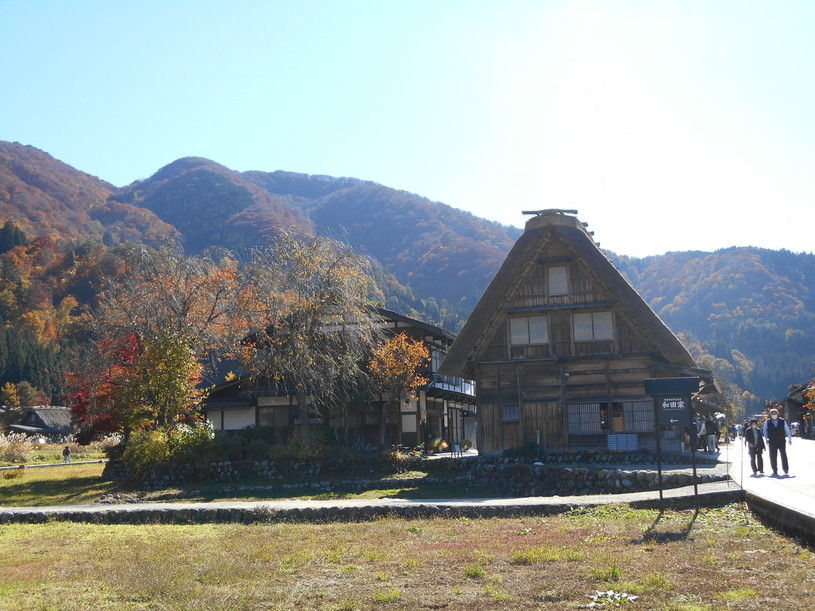 画像5