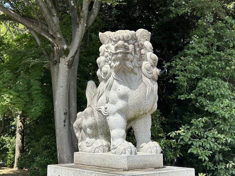 画像4