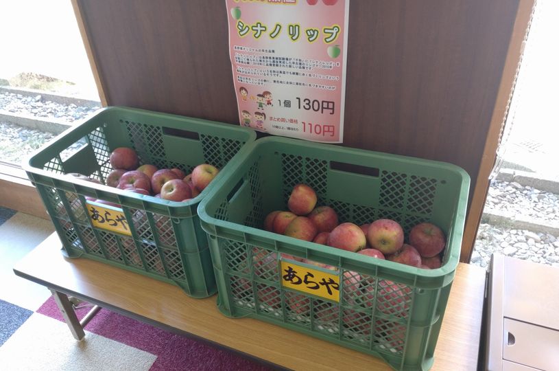 画像1