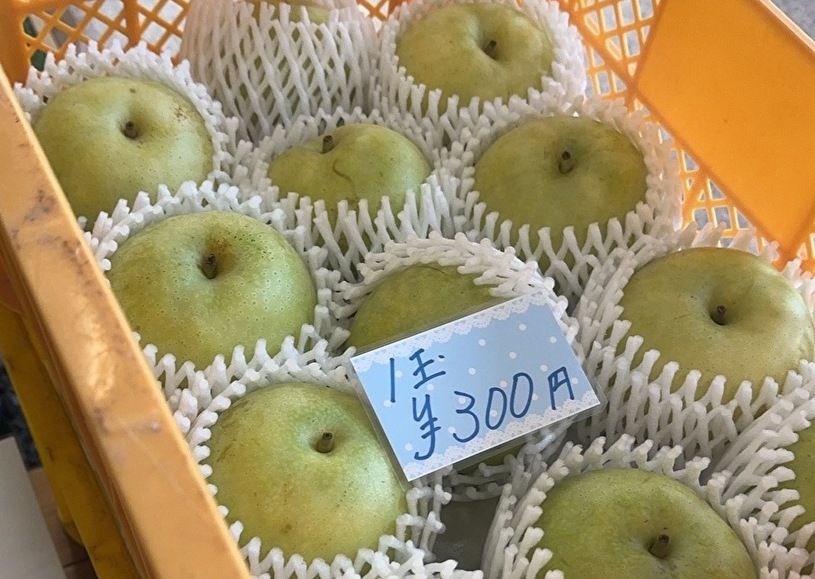 画像2
