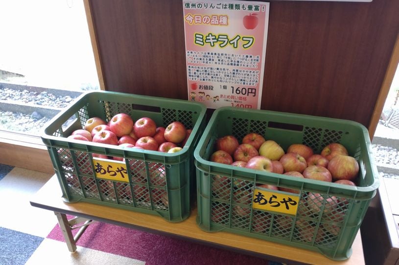 画像1