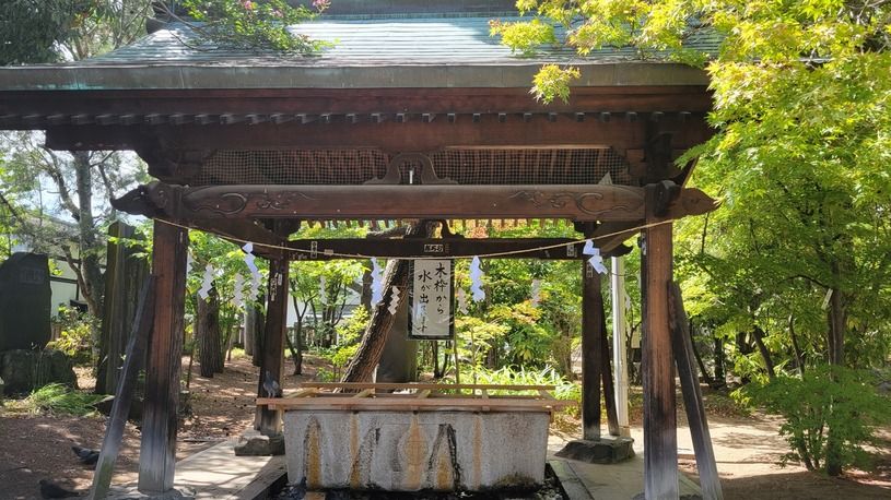 画像4