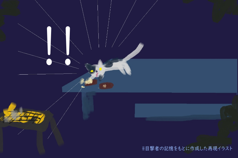 画像1