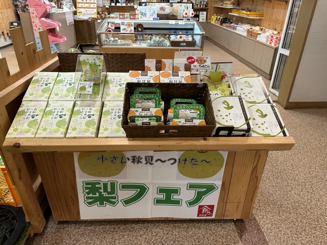 画像5