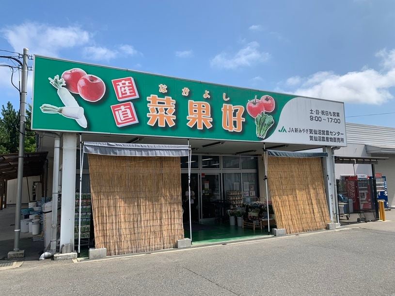 画像1