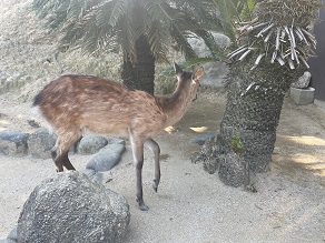 画像4