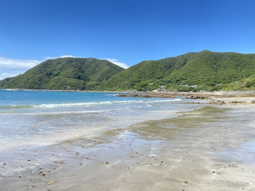 画像1