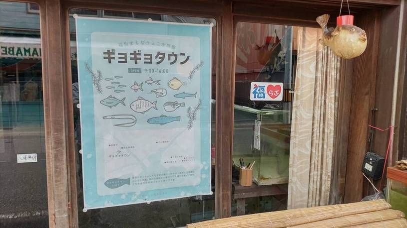 画像5