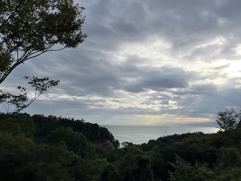 画像5