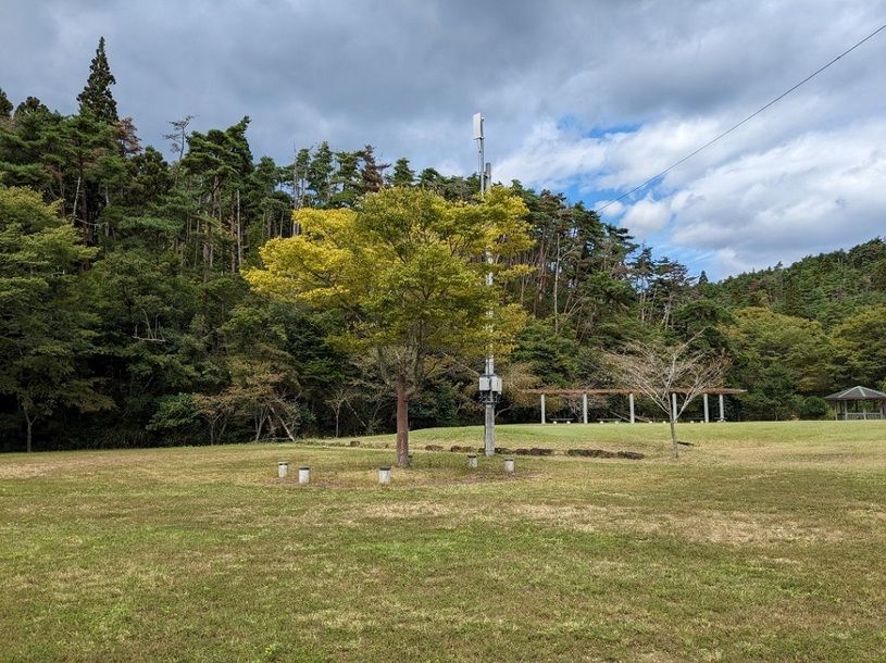 画像4