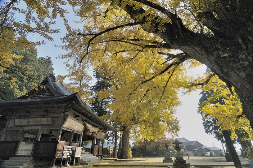 画像5