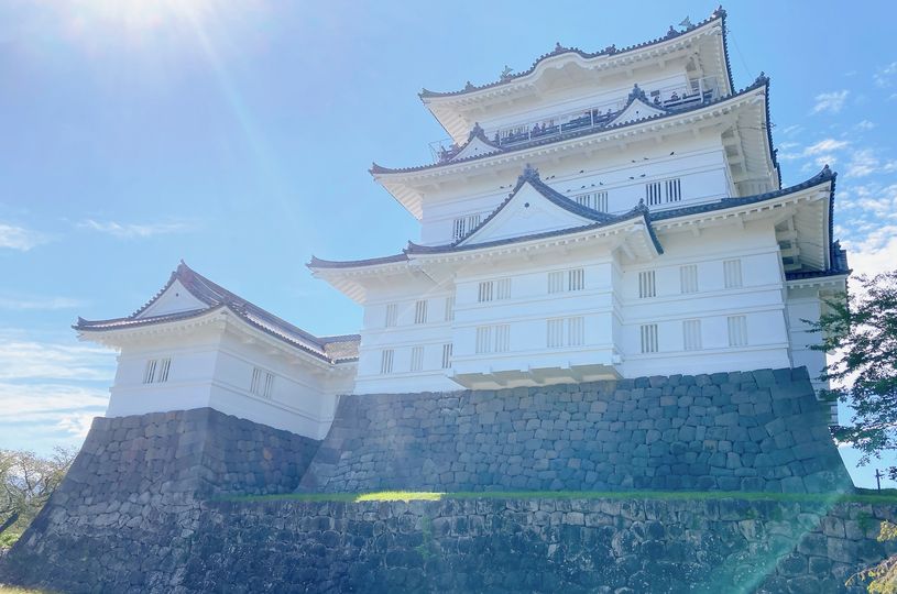 画像1