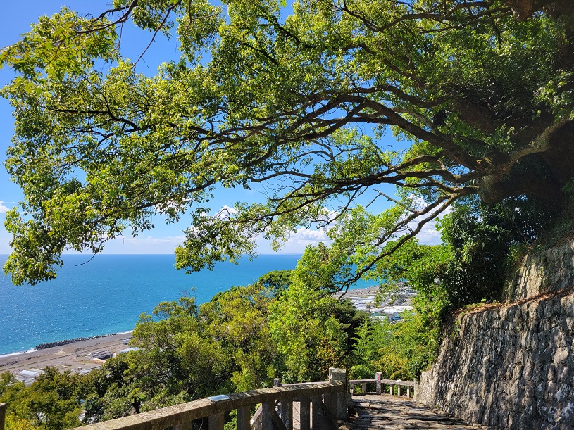 画像2