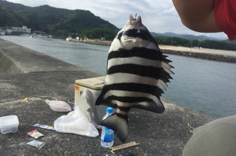 画像1