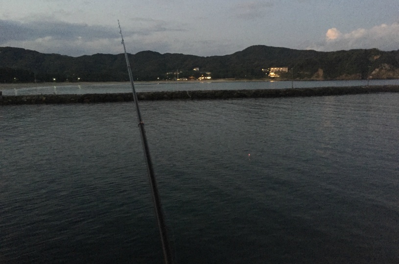 画像2