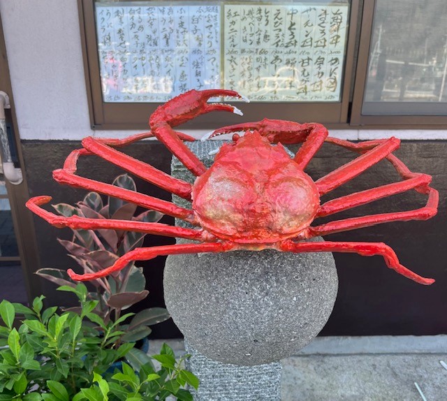 画像4