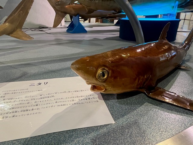 画像5