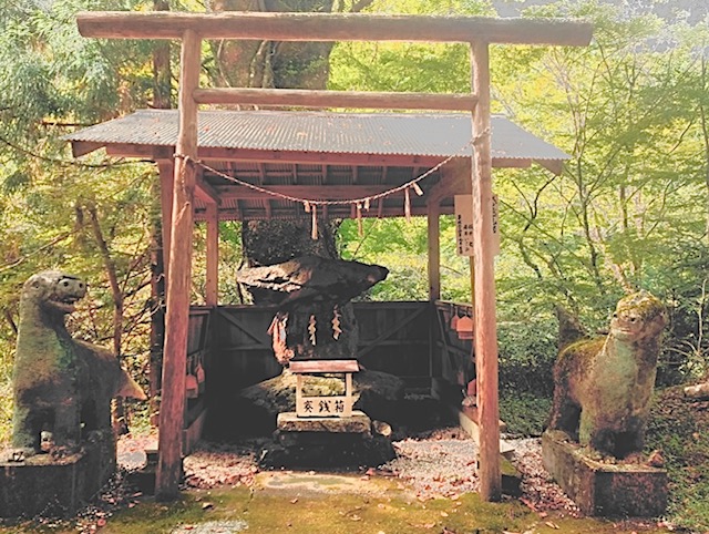画像2