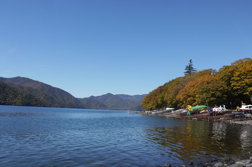 画像5