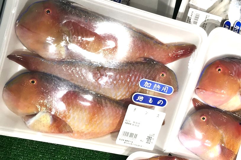 画像4