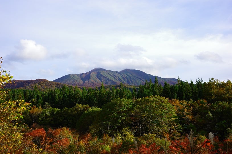 画像5