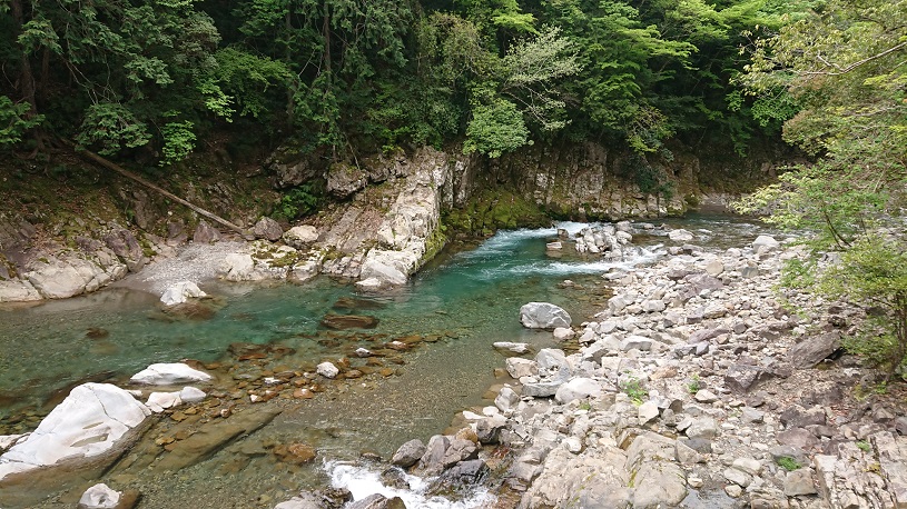 画像1