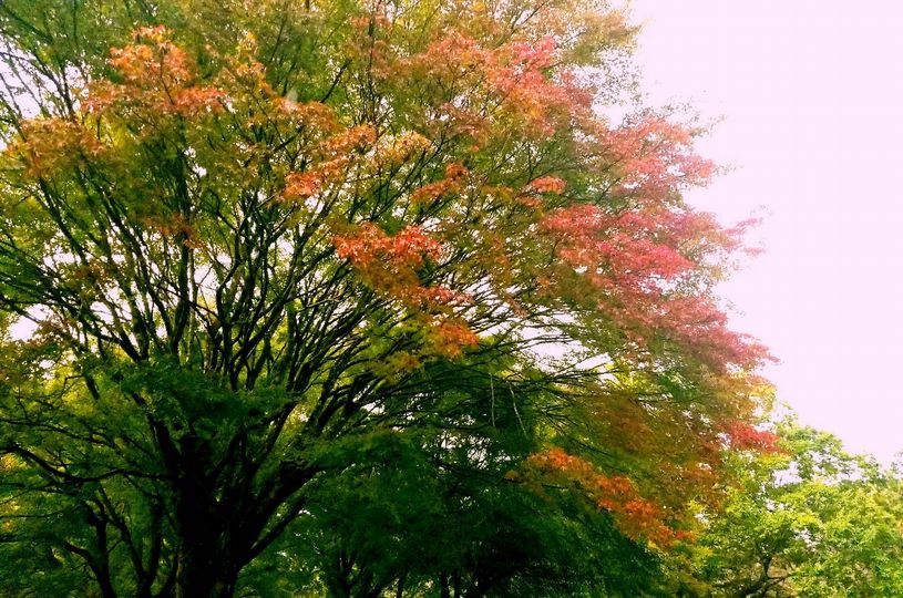 画像2