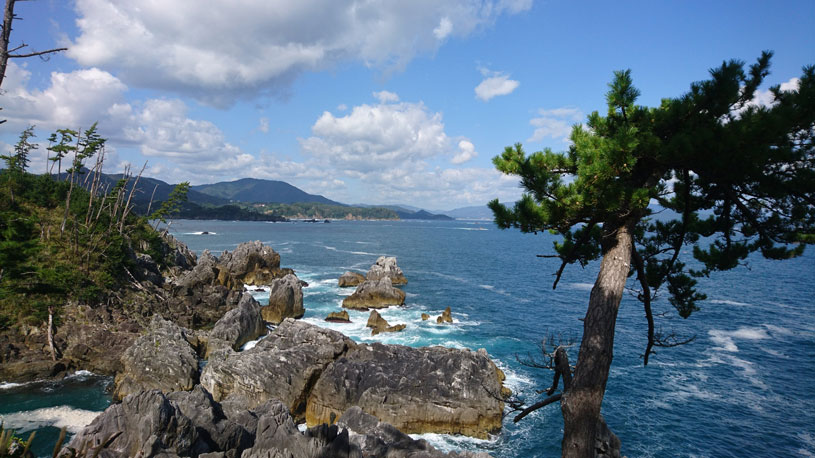 画像2