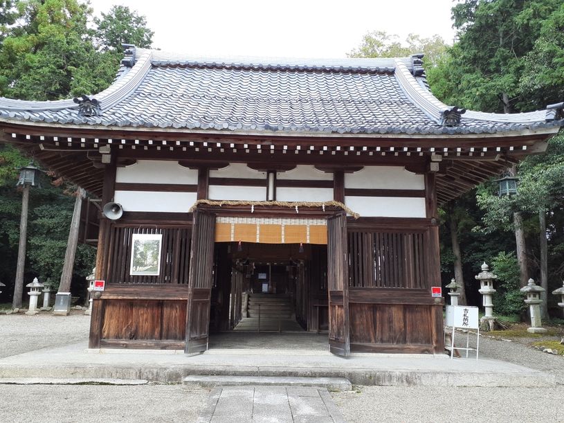 画像4