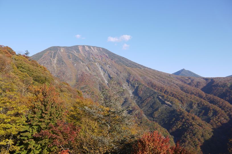 画像5