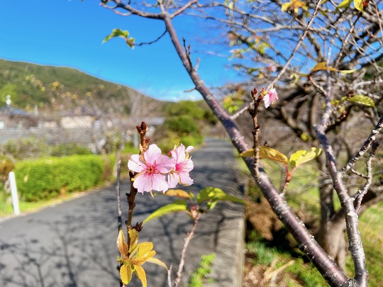 画像2