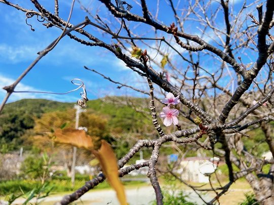 画像3