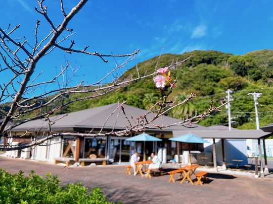 画像5