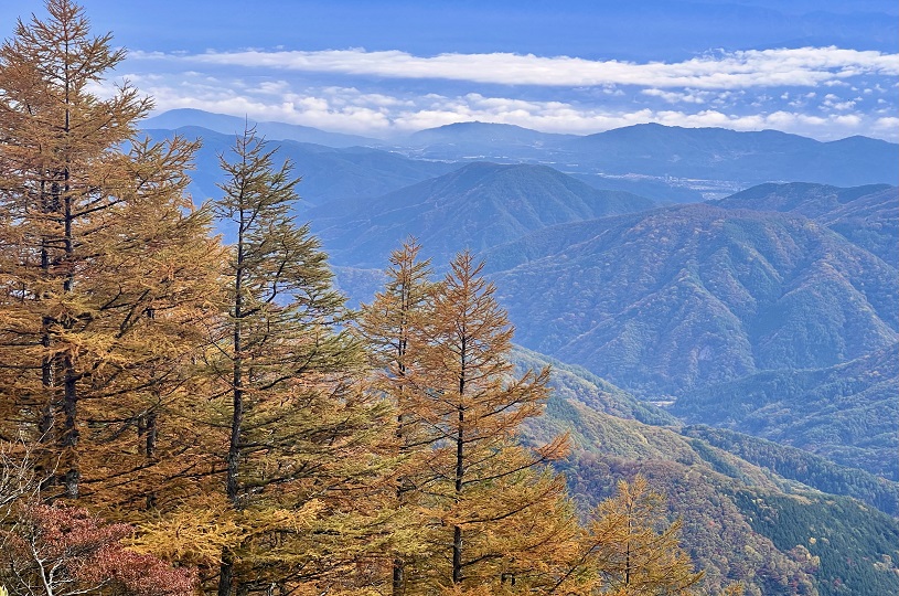 画像4