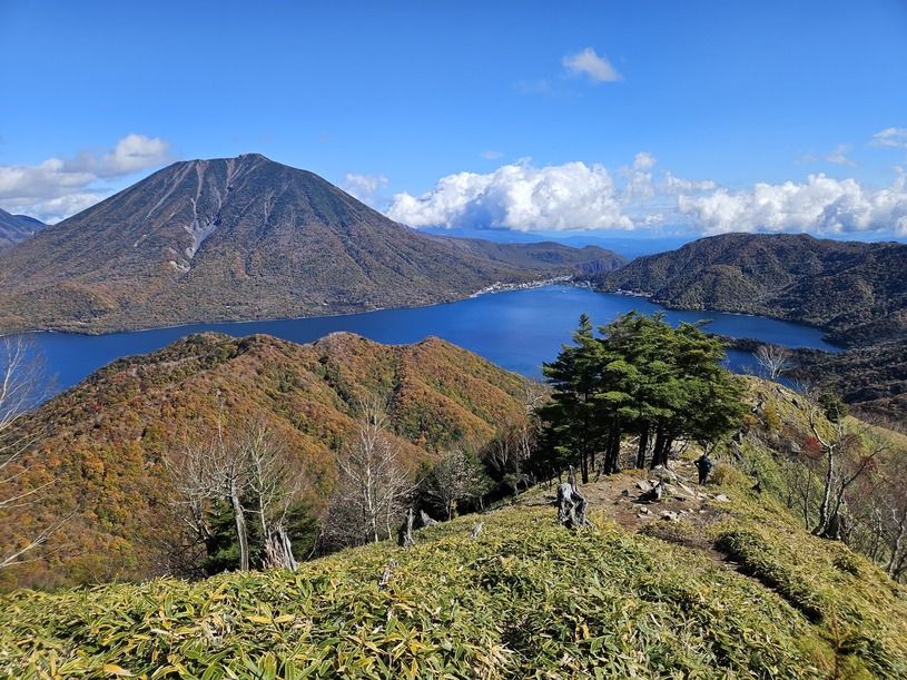 画像2